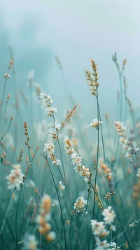 Blossoming grass with a gentle breeze against blossom sky vegetation.