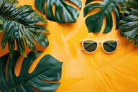 Summer background sunglasses accessories vegetation.
