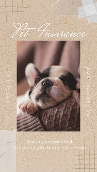 Pet insurance Instagram story template