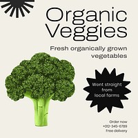 Organic veggies Facebook post template