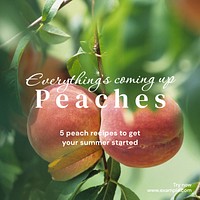 Peach recipes Facebook post template