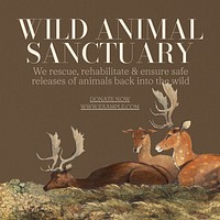 Wildlife sanctuary Instagram post template