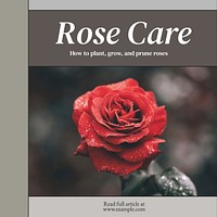 Rose care Instagram post template