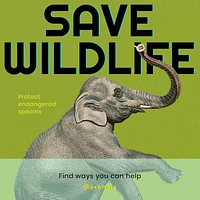 Save the wildlife Instagram post template 