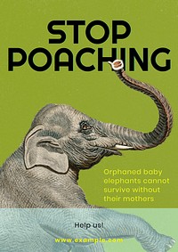 Stop poaching poster template and design