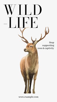 Wildlife  Instagram story template