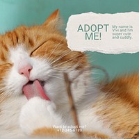 Pet adoption Instagram post template