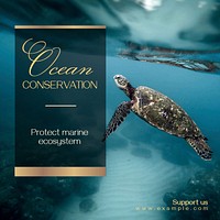Ocean conservation Instagram post template