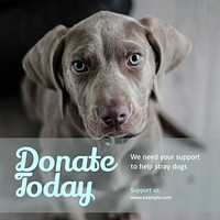 Animal donation Instagram post template