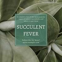 Succulent fever Instagram post template