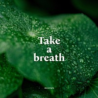 Take a breath Instagram post template