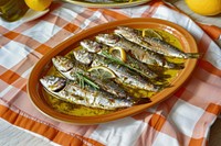 Stuminous sprat fillets in olive oil invertebrate herring sardine.