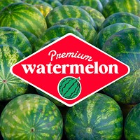 Premium watermelon logo template,  business branding design