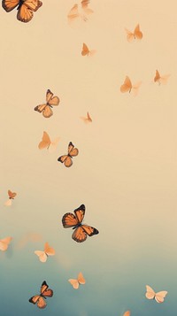 Butterflies on sky invertebrate butterfly blossom.