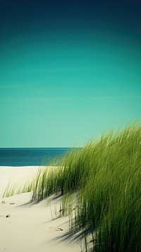 Photography of beach landscape green vegetation.