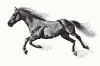 Horse running art illustrated drawing.