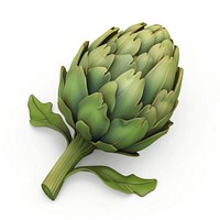 Detailed artichoke illustration, green leaves