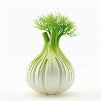 Fresh fennel bulb with leaves