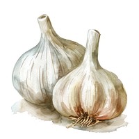 Garlic garlic vegetable produce.