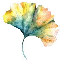 Ginkgo leaf art invertebrate accessories.