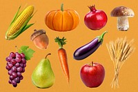 Autumn fruit and vegetable element   set