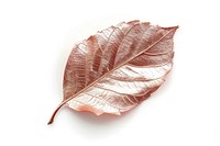 Elegant metallic leaf artwork