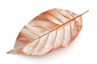 Elegant metallic leaf decor