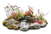 Serene garden pond with rocks