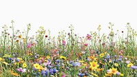 Vibrant wildflower meadow in bloom