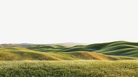 Serene rolling green hills landscape