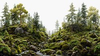 Serene forest landscape wallpaper