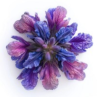 Vibrant purple and blue petals