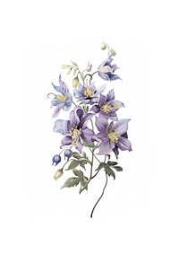 Elegant purple floral illustration