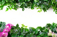 Lush greenery floral frame