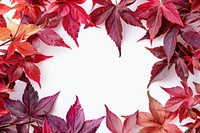 Vibrant autumn leaves frame