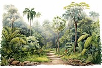 Lush tropical rainforest pathway illustration