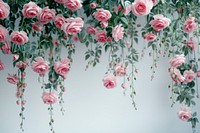 Hanging pink roses floral decor