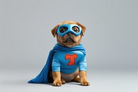 Adorable superhero puppy costume