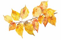 Autumn watercolor leaves branch illustration