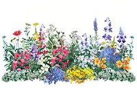 Colorful garden wildflower illustration