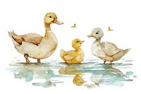 Ducks family watercolor illustration