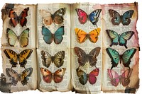 Colorful butterflies on vintage pages