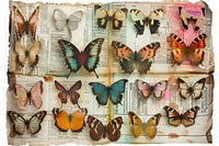 Vintage butterfly collection illustration