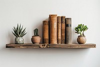 Vintage books and succulents