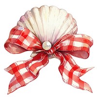 Seashell ribbon gift decoration