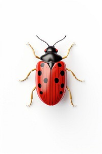 Vibrant ladybug illustration on white