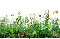 Vibrant wildflower meadow background