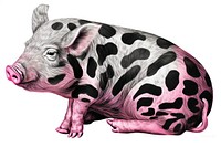 Spotted pig illustration art