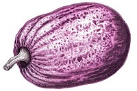 Detailed purple eggplant illustration