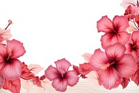 Vibrant hibiscus floral border